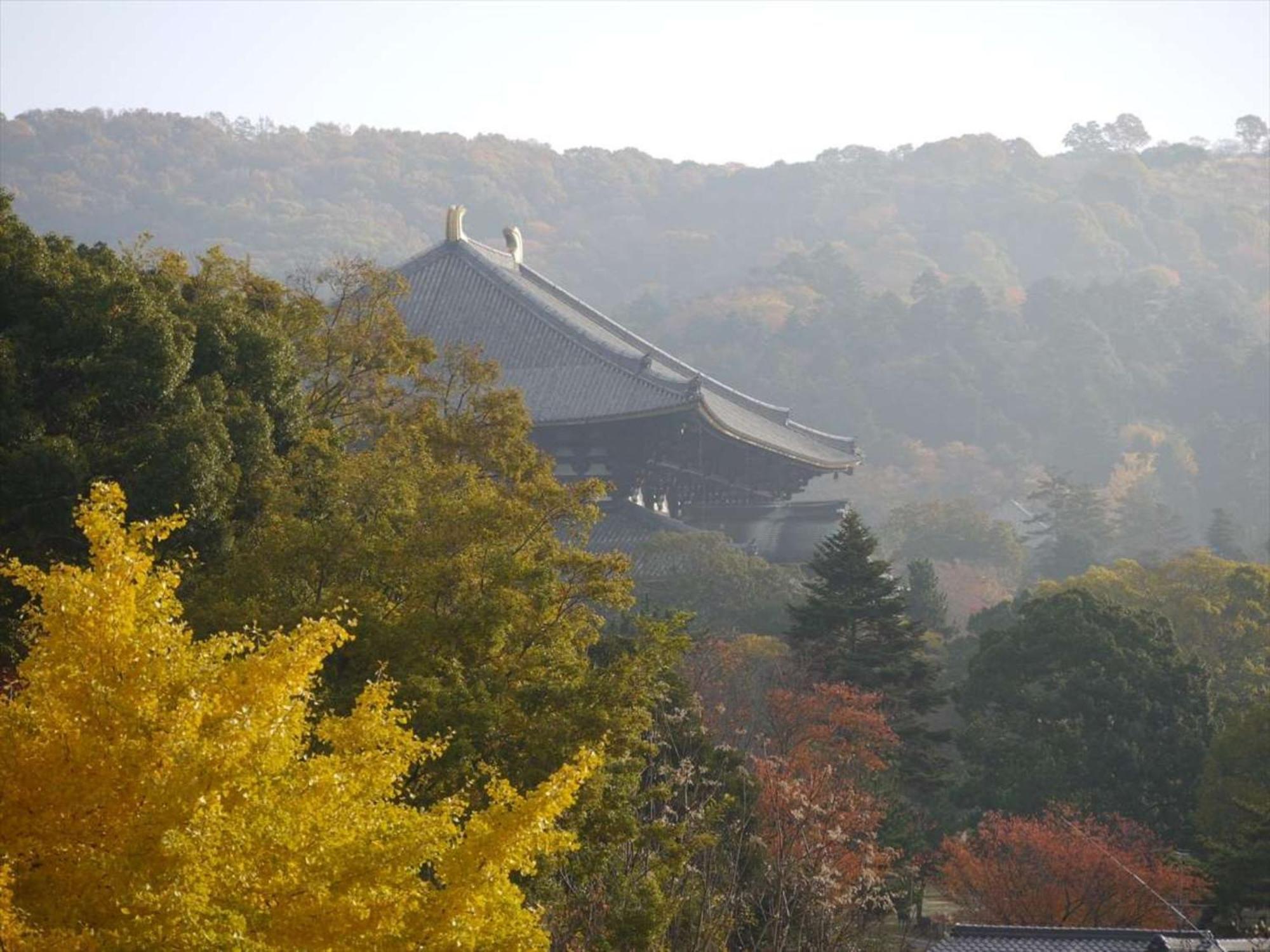 Hotel New Wakasa Nara Bagian luar foto