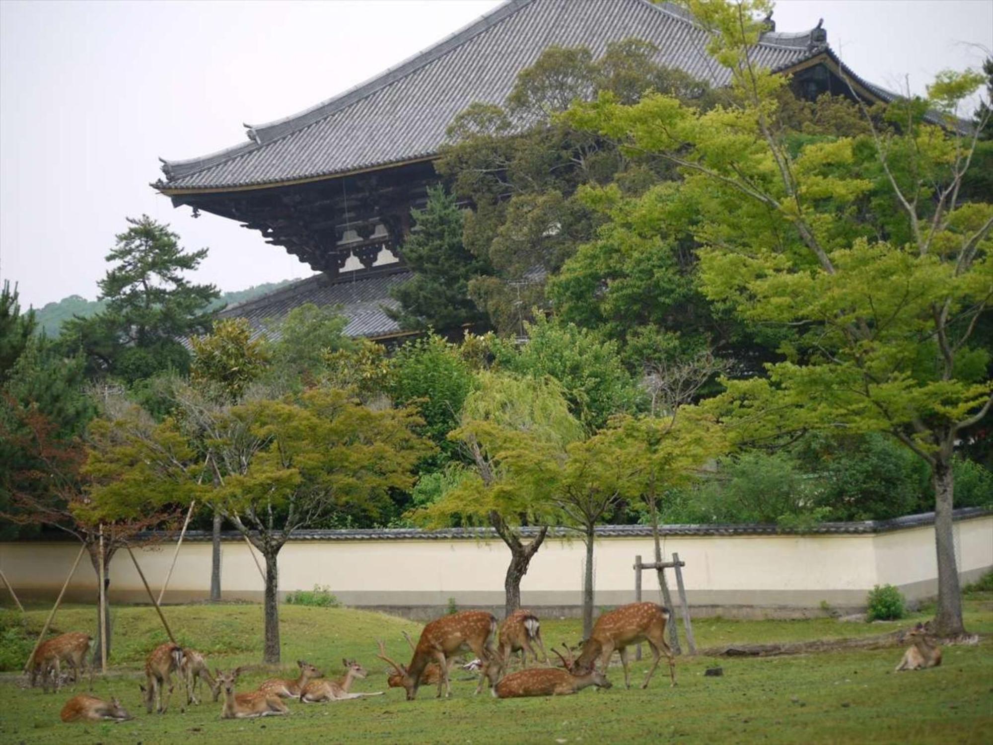 Hotel New Wakasa Nara Bagian luar foto